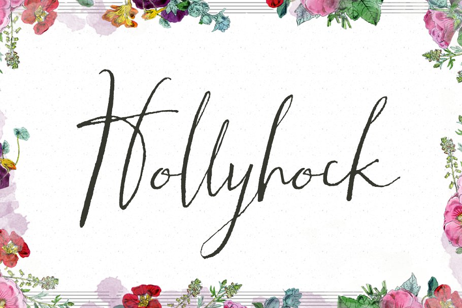 Hollyhock Calligraphy Font