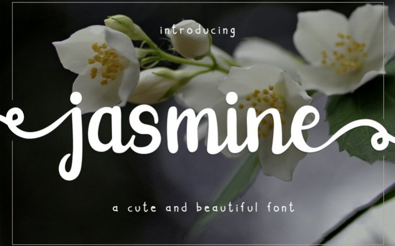 Jasmine Script Font