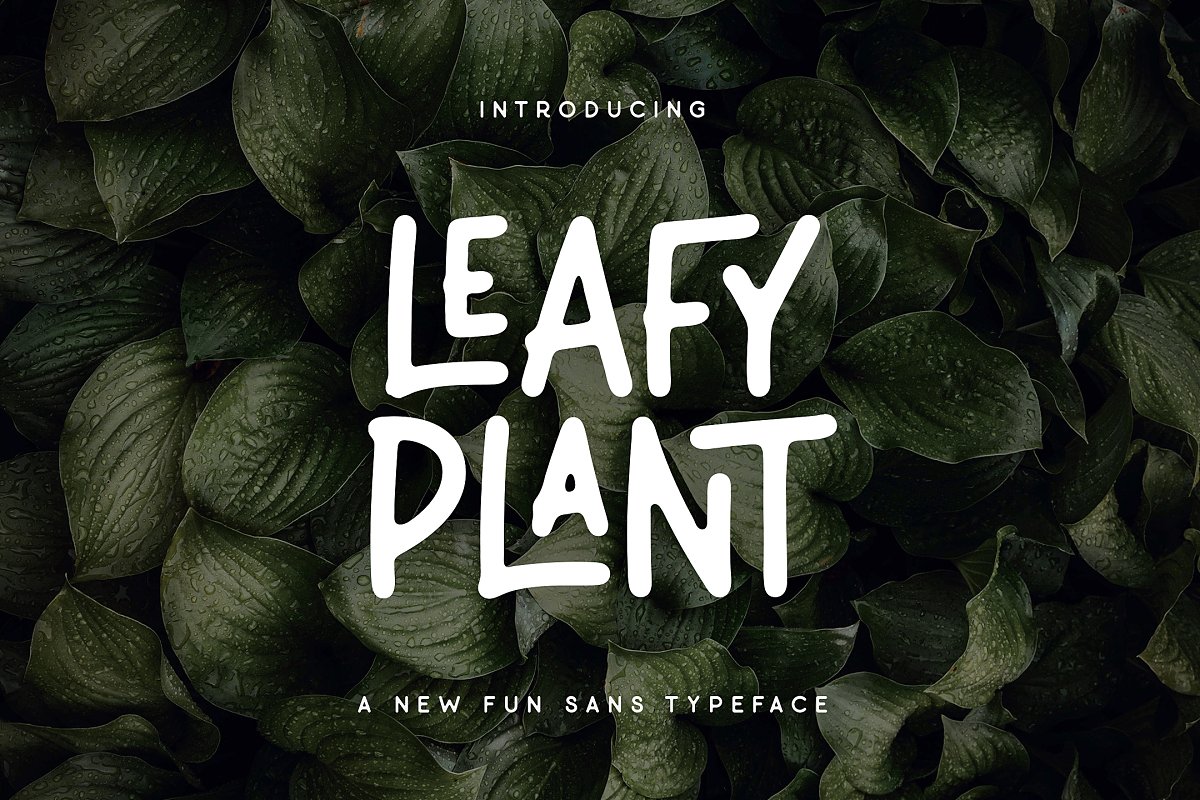 Leafy Plant Sans Font