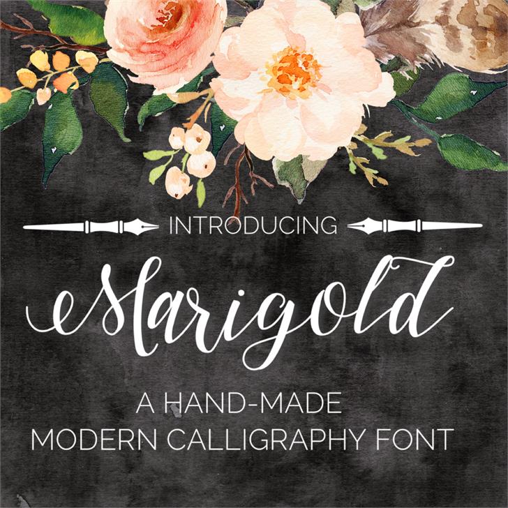 Marigold Font