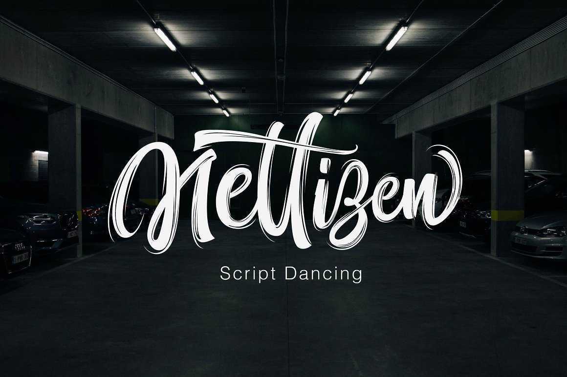Nettizen Script Font Free