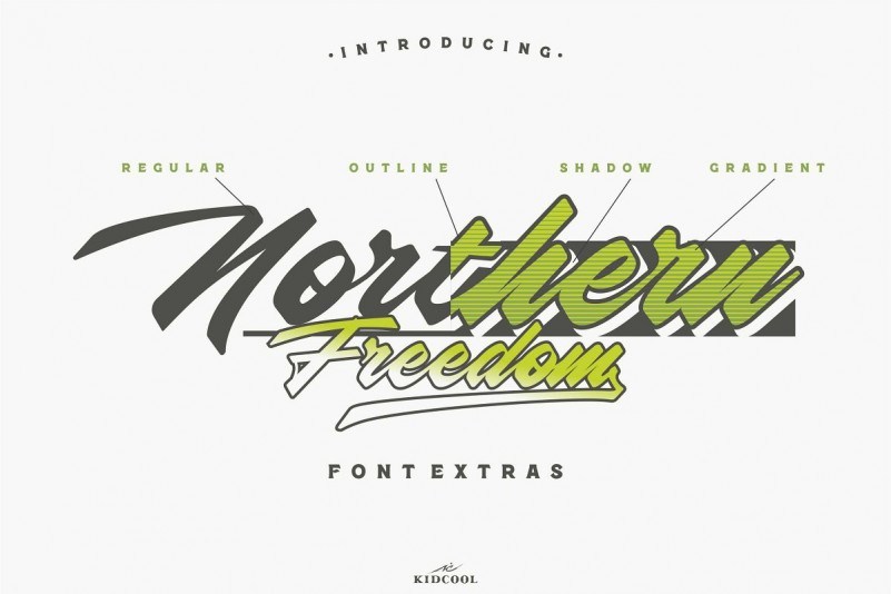 Northern Freedom Script Font