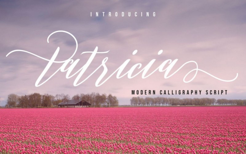 Patricia Script Font