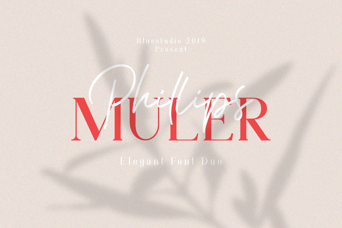 Phillips Muler Font Duo
