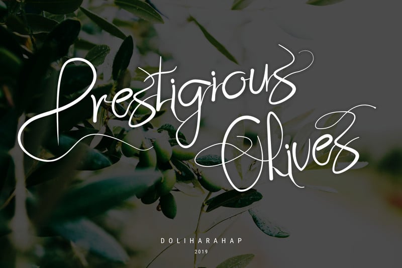 Prestigious Olives Script Font