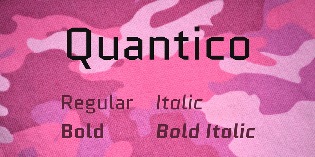 Quantico Font Family