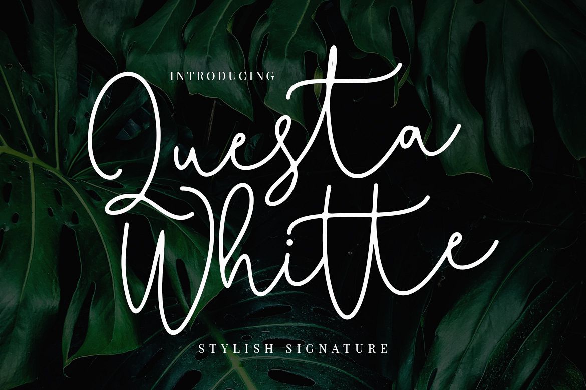 Questa Whitte Signature Font