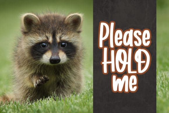 Roasted Coconut Script Font