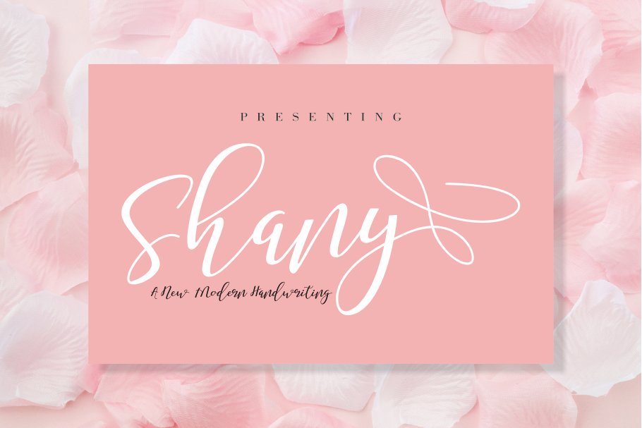 Shany Script Font