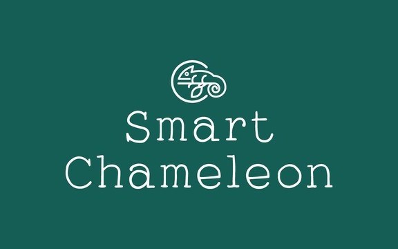 Smart Chameleon Display Font