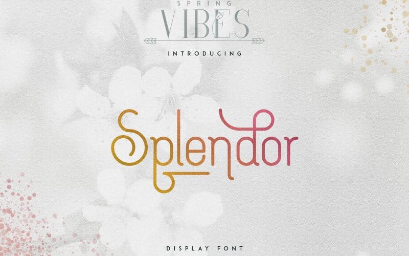 Splendor Display Font