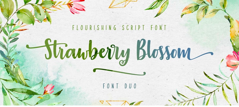 Strawberry Blossom Font