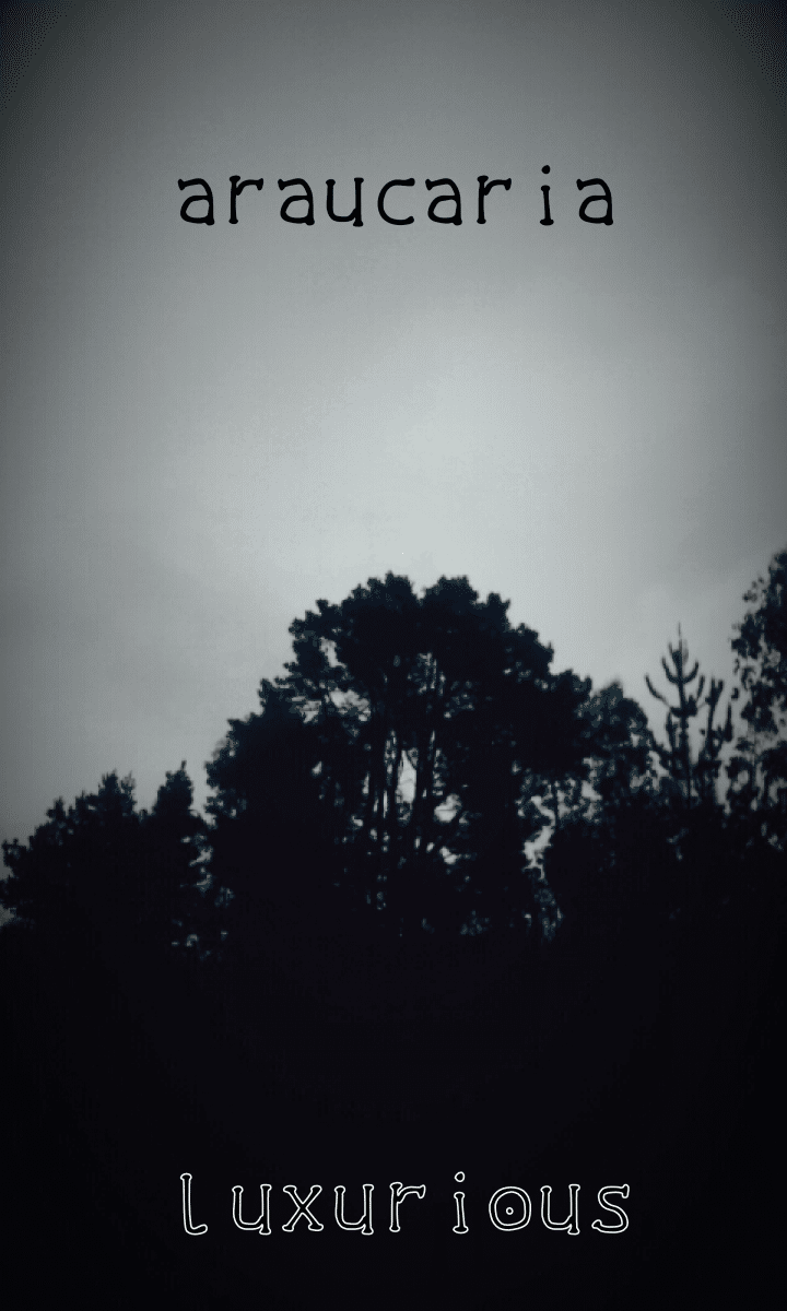 The Luxurious Dark Font