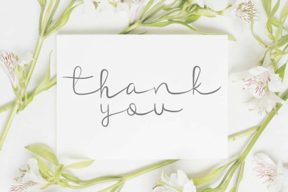 Veronica Elena Script Font