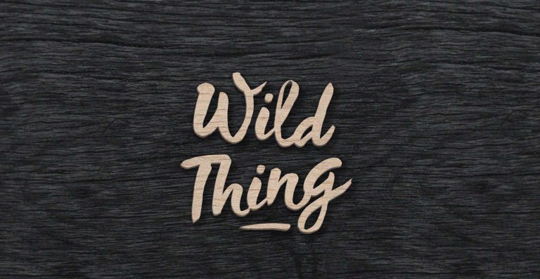 Wild Thing Font
