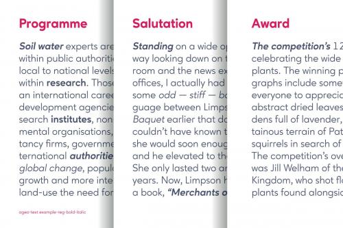 Ageo Geometric Sans Font Family