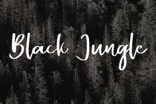 Alentine Script Font