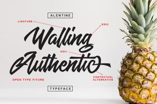Alentine Script Font