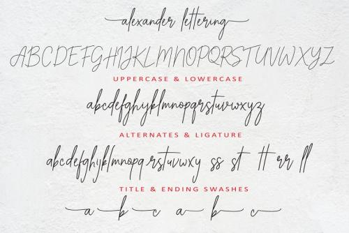 Alexander Lettering Handwritten Font