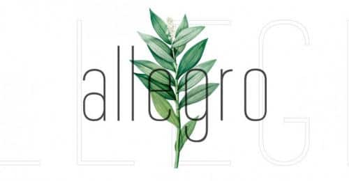 Allegro Sans Serif Font