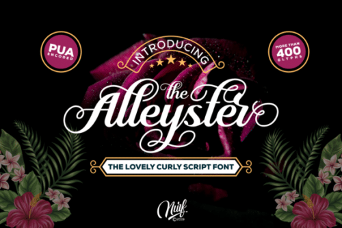 Alleyster Script Font
