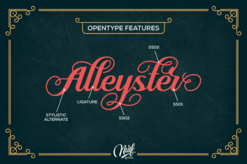 Alleyster Script Font