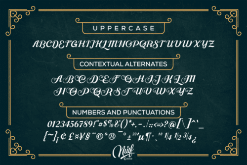 Alleyster Script Font