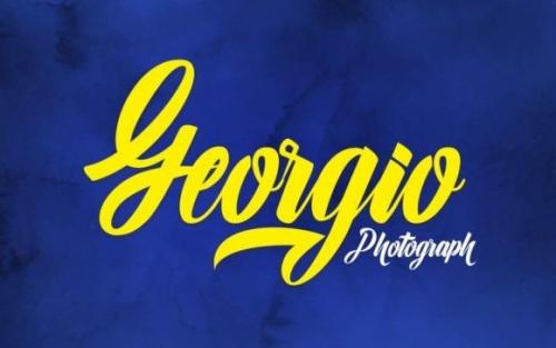 Alligator Script Font