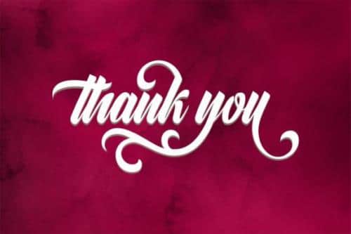 Alligator Script Font