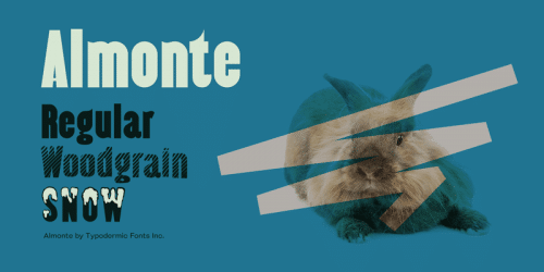 Almonte Woodgrain Font