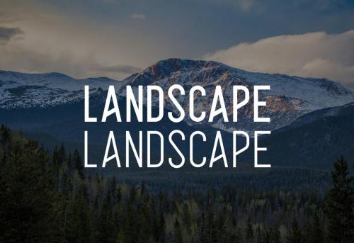 Alpha Font Family