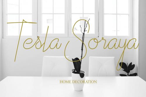 Althype Monoline Script Font