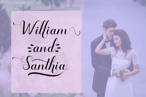 Amanda Font