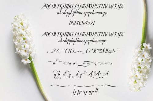 Amanda Font