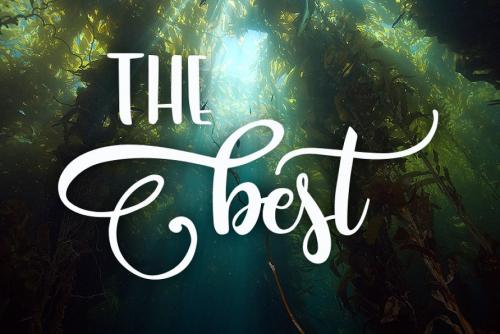Amastery Script Font