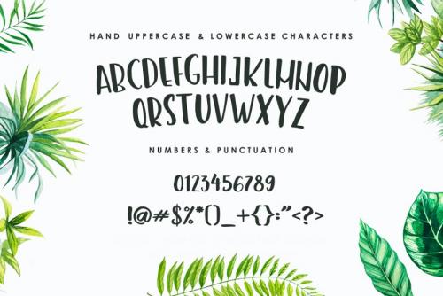 Amastery Script Font