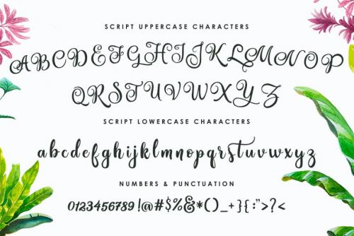 Amastery Script Font