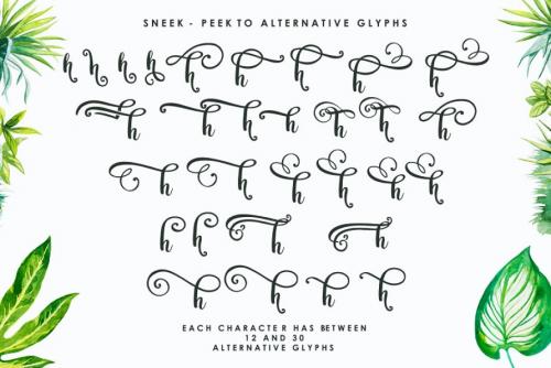 Amastery Script Font