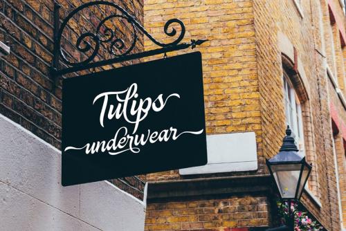 Ambassador Script Font