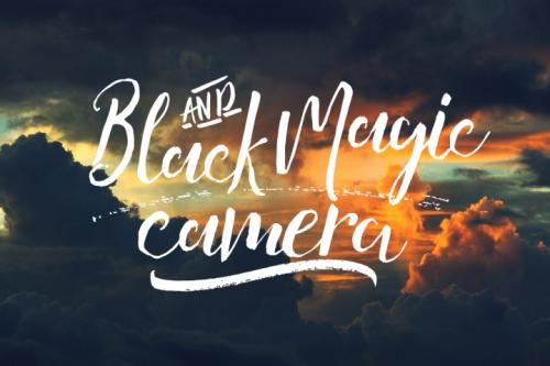 Amelia Script Font