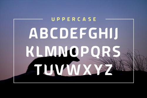 American Fox Font