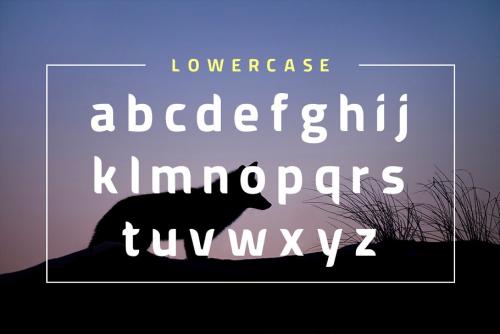 American Fox Font