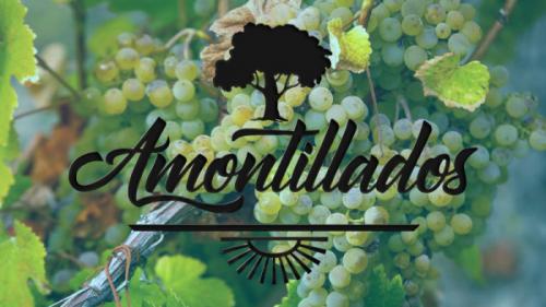 Amontillados Script Font
