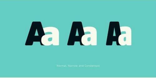 Amsi Pro Font