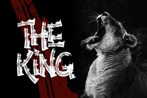 Anarchy Brothers Display Font