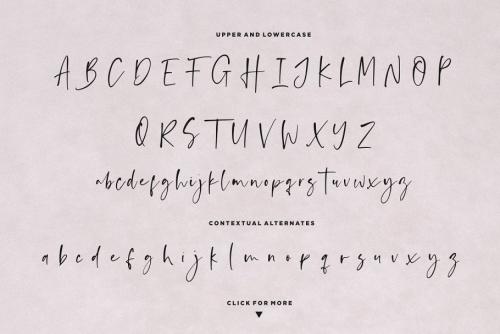 Anastacy Handlettered Font