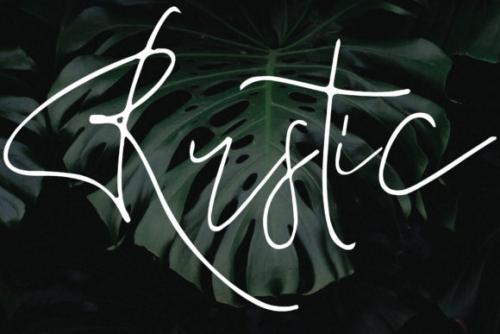 Anastasia Font