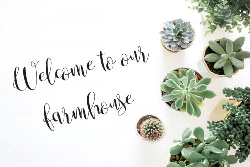 Anastasia Script Font