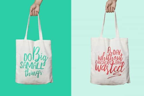 Anatalia Brush Duo Font