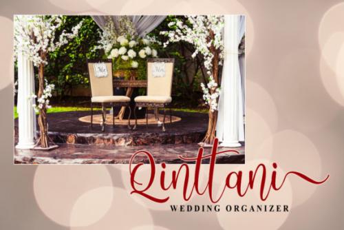 Angelic Calligraphy Font